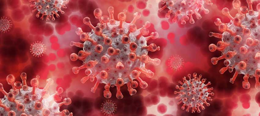 impfen in apotheken corona virus denphamed